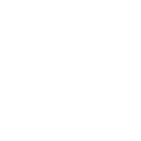 Cardano Foundation v2